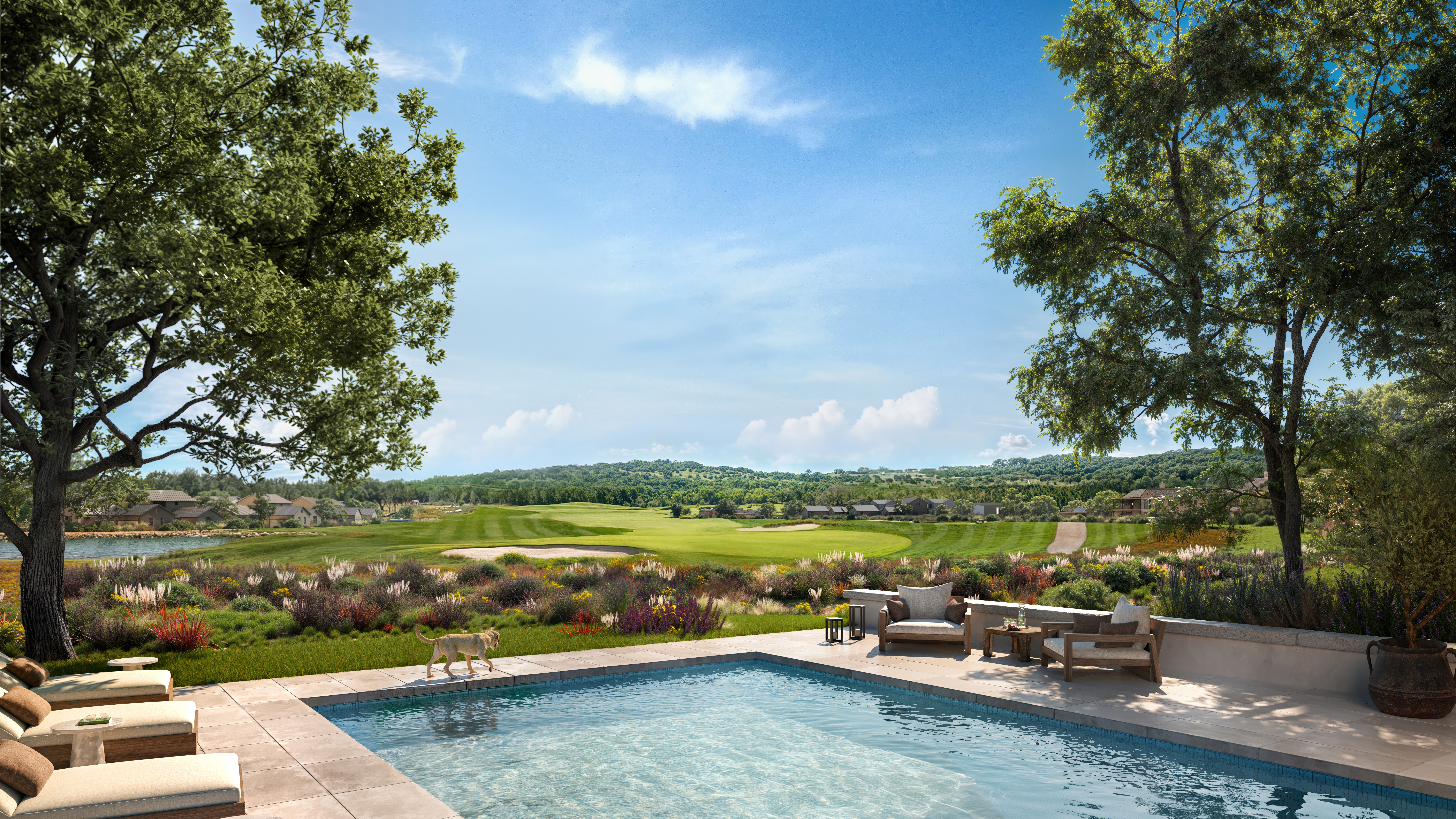Backyard Rendering